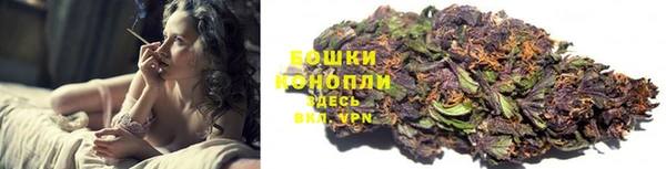 метадон Гусев