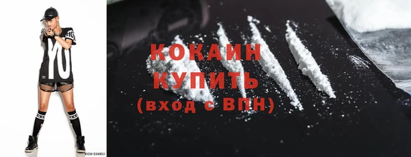 гидра Горнозаводск