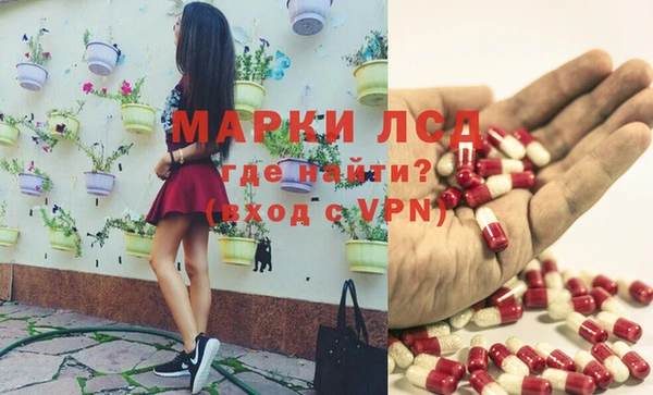 метадон Гусев