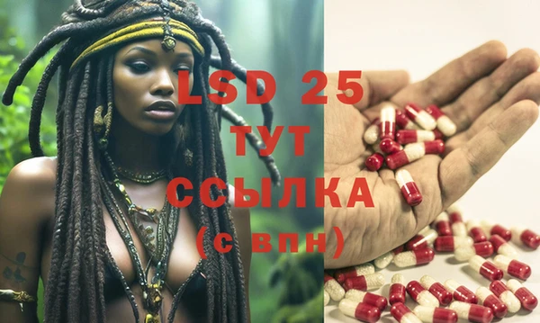 стаф Ростов