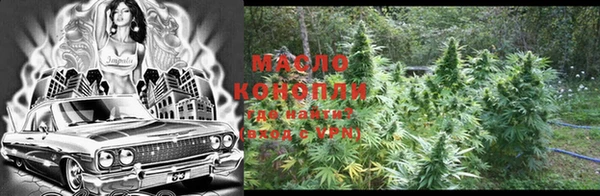 гидра Горнозаводск