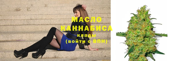 гидра Горнозаводск