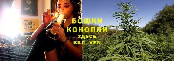 гидра Горнозаводск