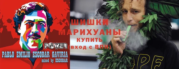 гидра Горнозаводск
